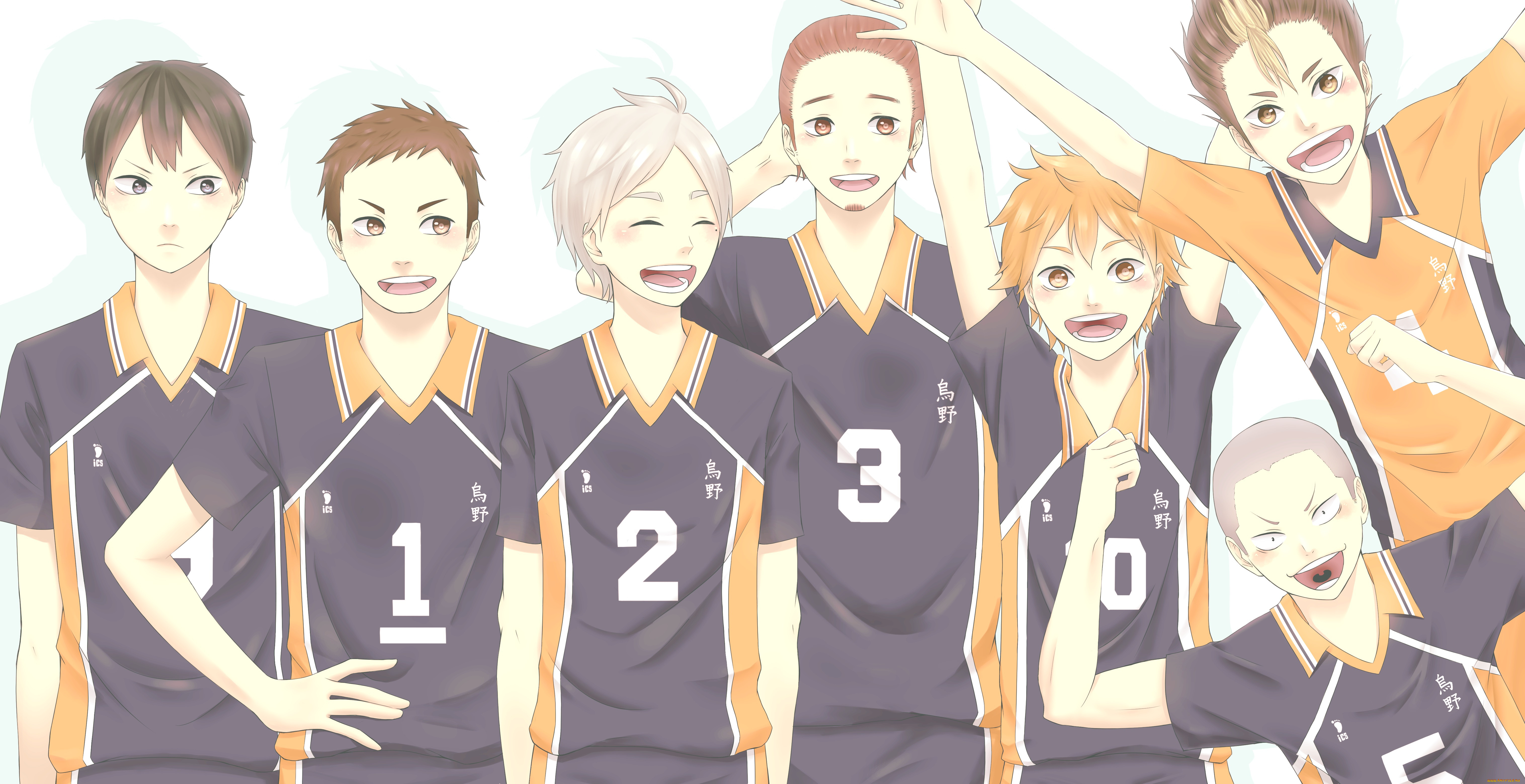 , haikyuu, karasuno, high